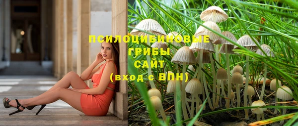 бутират Алексин