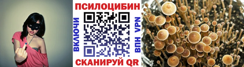 хочу   мега tor  Псилоцибиновые грибы MAGIC MUSHROOMS  Томск 